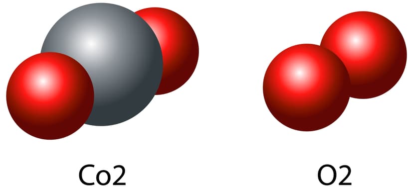 Iron-Carbon equilibrium diagram